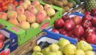 fruits légumes.jpg fruits légumes.jpg